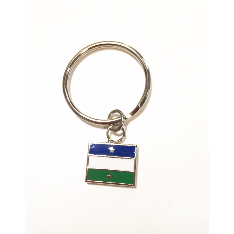 Patagonia Flag Keyring