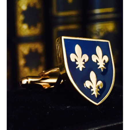 Gold-Plated Fleur-de-Lis Cufflinks