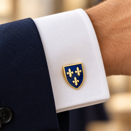 Gold-Plated Fleur-de-Lis Cufflinks