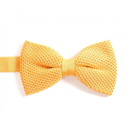 Golden knitted bow tie