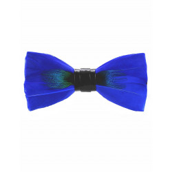 Blue peacock feather bow tie