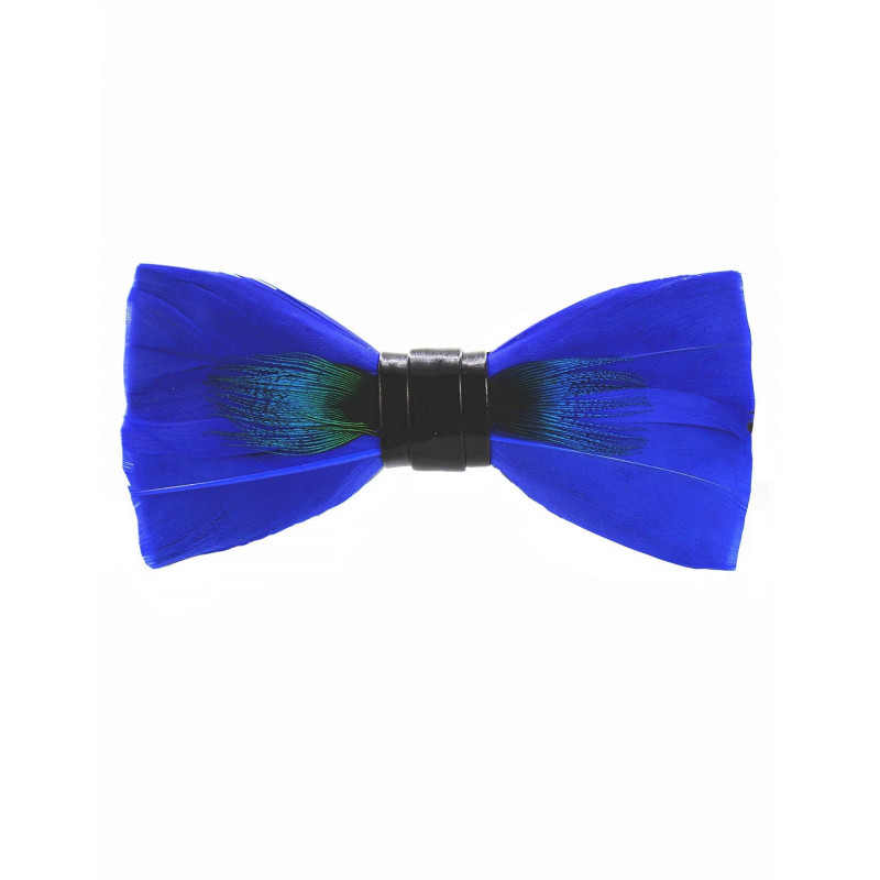 Blue peacock feather bow tie