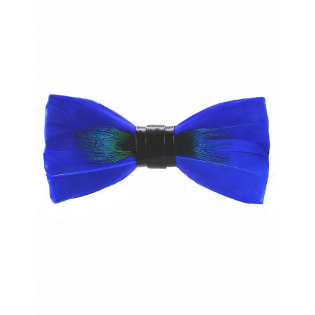 Blue peacock feather bow tie