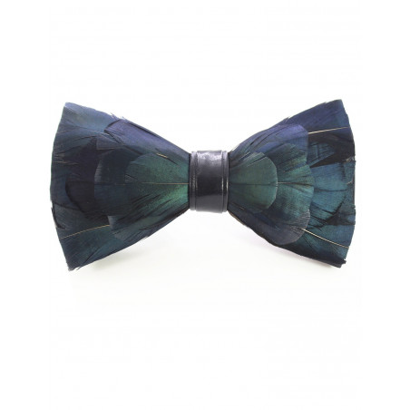 Crow feather bow tie